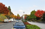 s-20091118.jpg