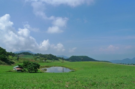 s-006.jpg